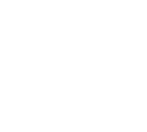 PARAVANA Logo